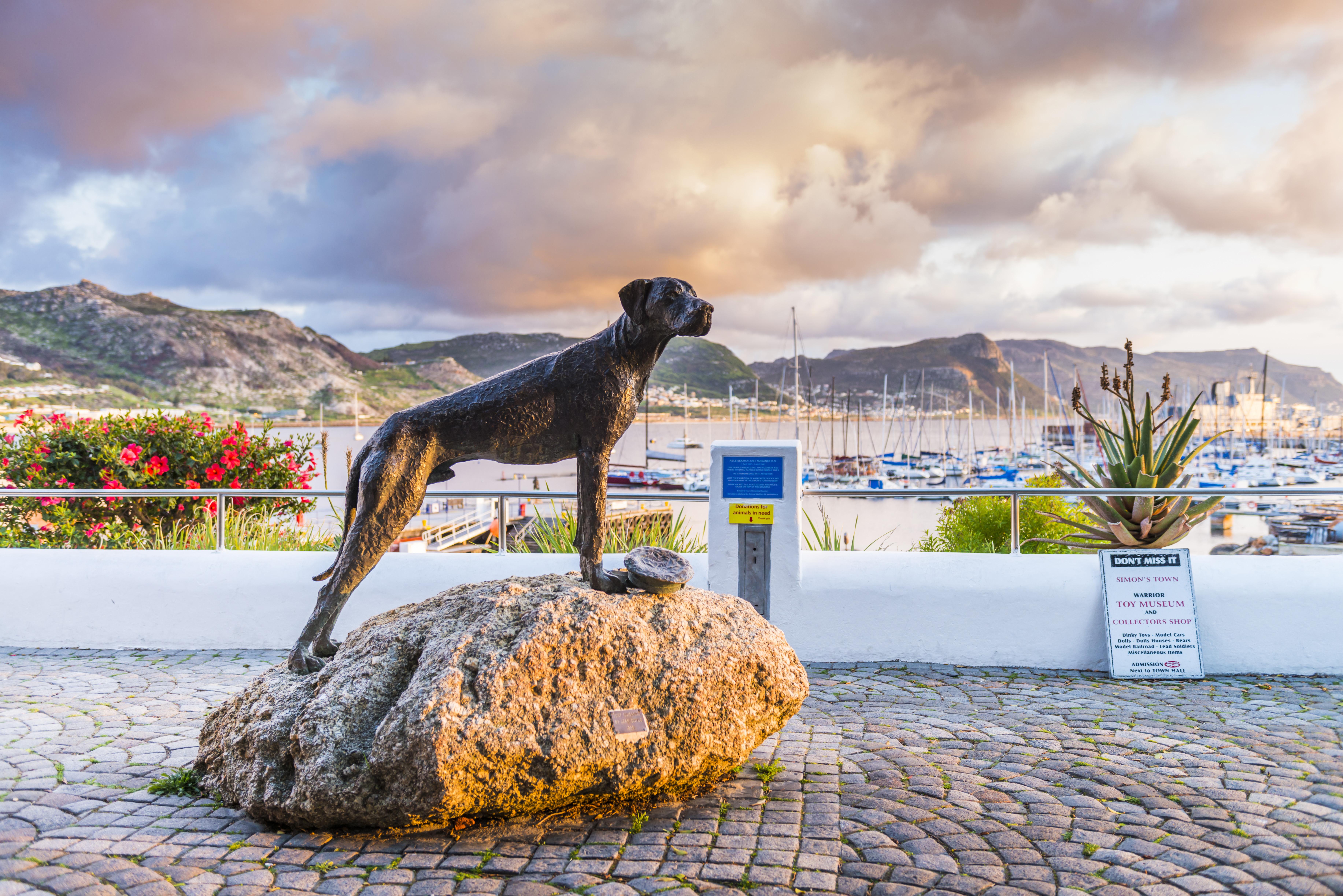 Simon'S Town Quayside Hotel Exterior foto