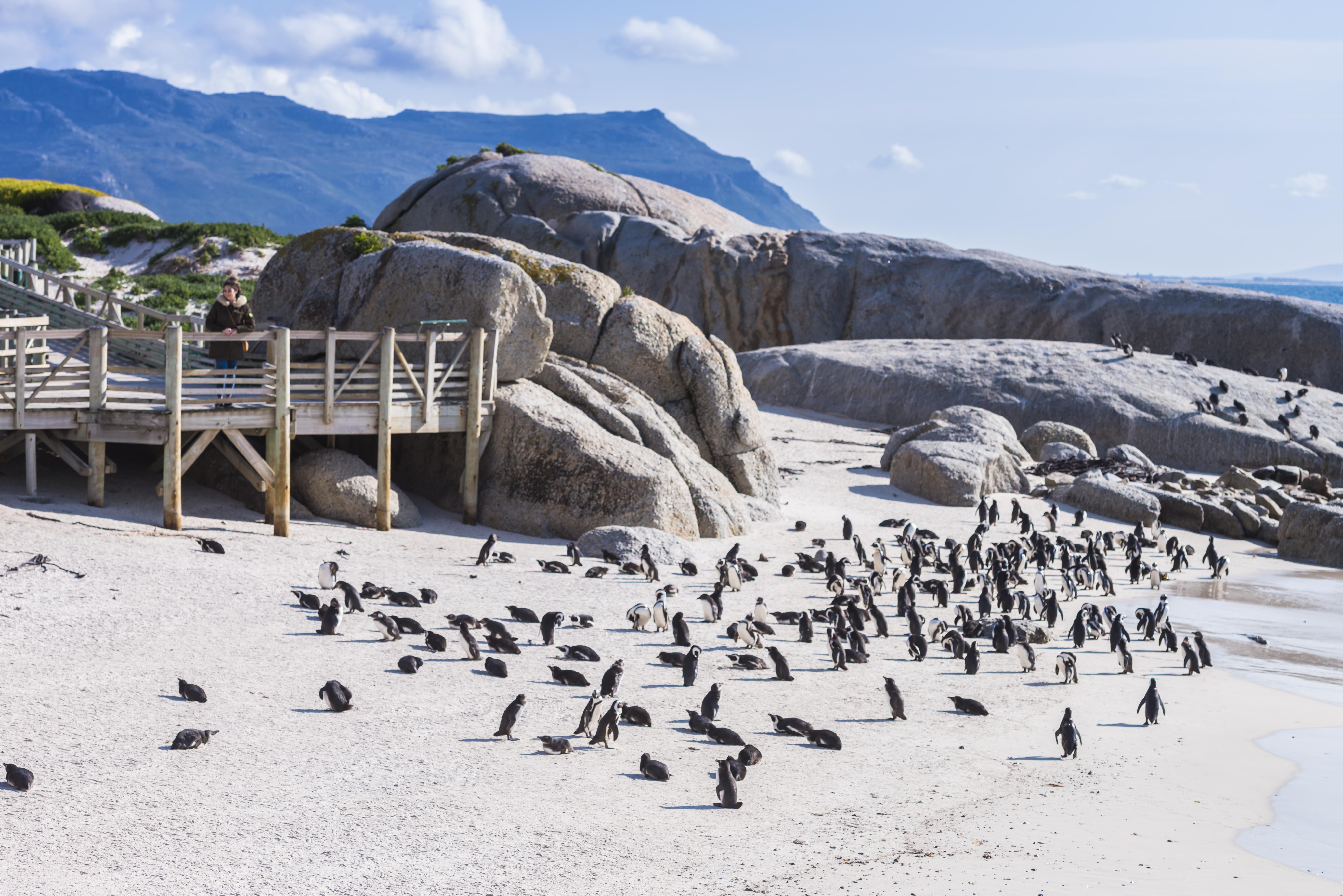 Simon'S Town Quayside Hotel Exterior foto