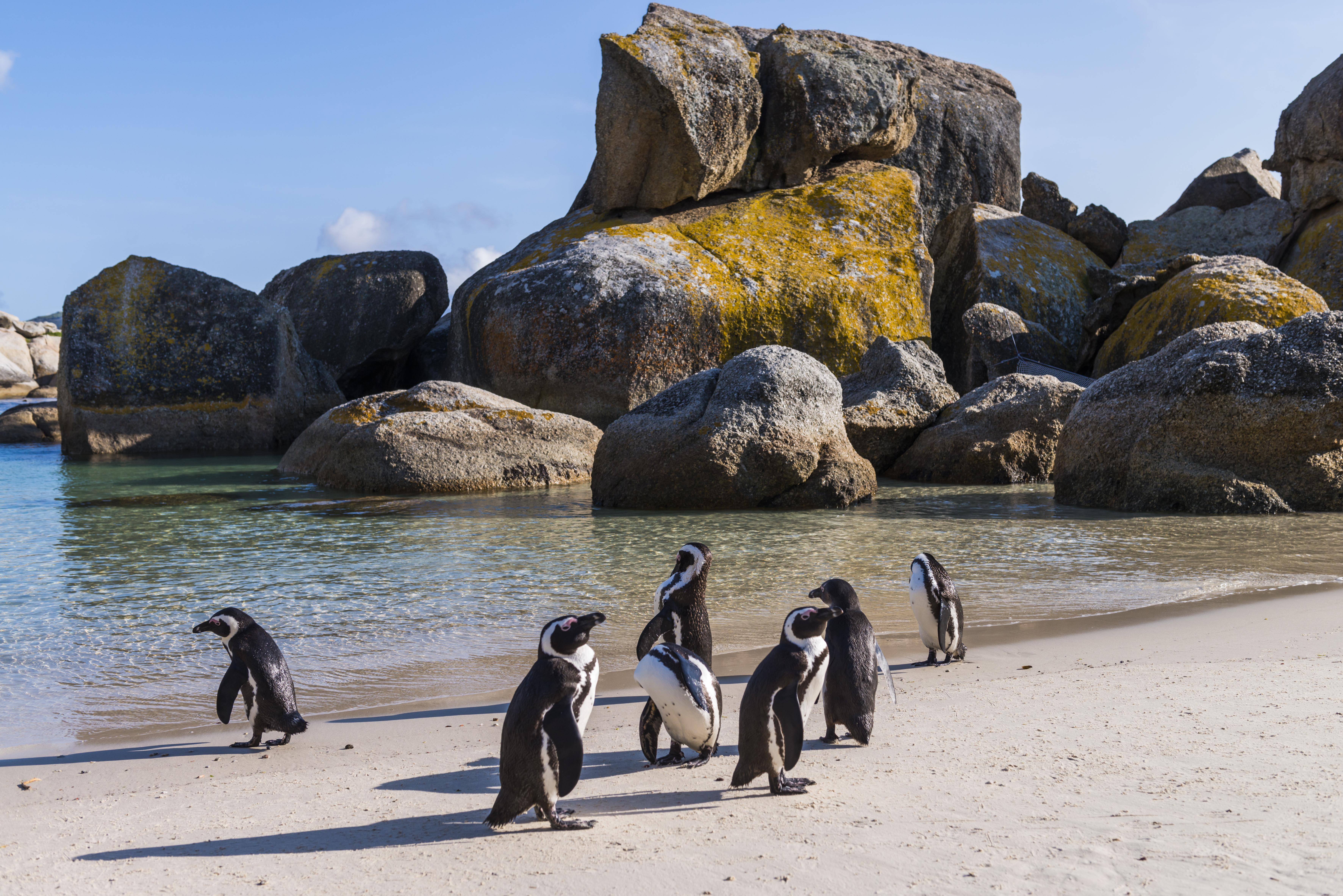 Simon'S Town Quayside Hotel Exterior foto